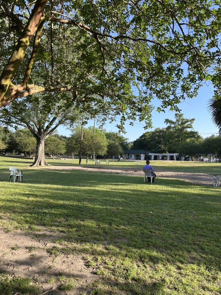 Dog owner sitting in shade under trees watching sand pit in Nola City Bark off-leash large dog area Dog owner sitting in shade under trees watching sand pit in Nola City Bark off-leash large dog area