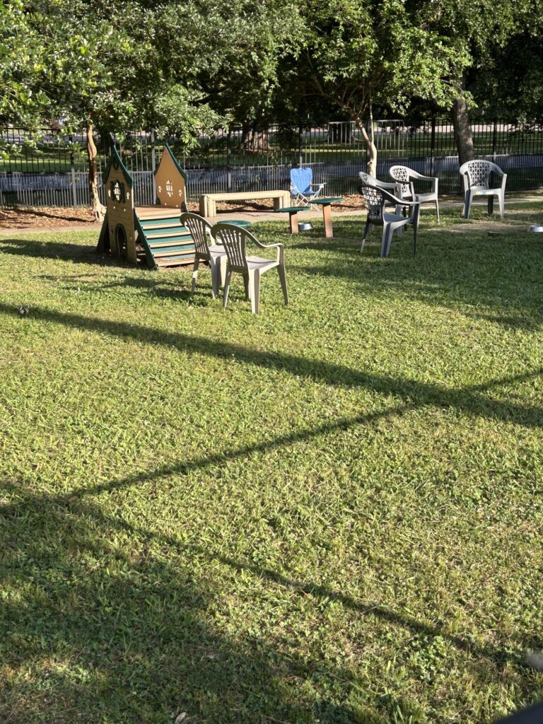 Nola City Bark small dog area with miniature agility playground and seating Nola City Bark small dog area with miniature agility playground and seating